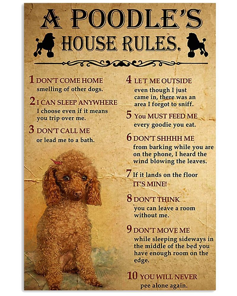 A Poodle'S House Rules Unframed , Wrapped Frame Canvas Wall Decor, Dog , Animal Poster