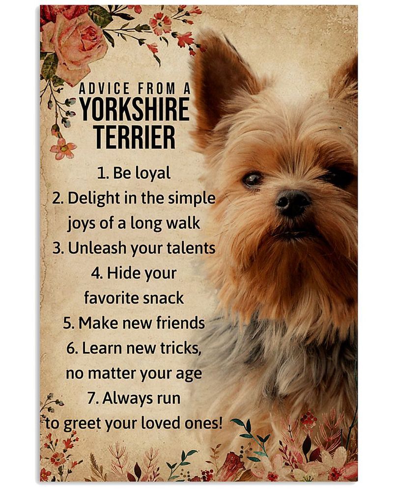 Advice From A Yorkshire Terrier Unframed , Wrapped Frame Canvas Wall Decor, Dog , Animal Poster
