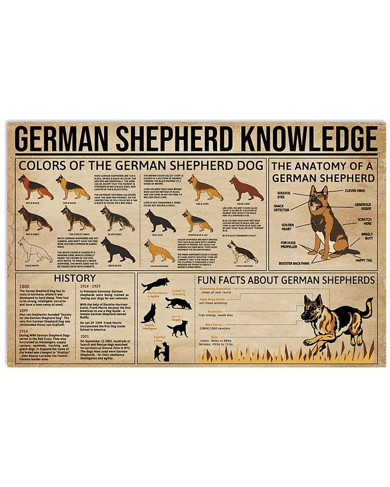 German Shepherd Knowledge Unframed , Wrapped Frame Canvas Wall Decor, Dog , Animal Poster Inktee Store