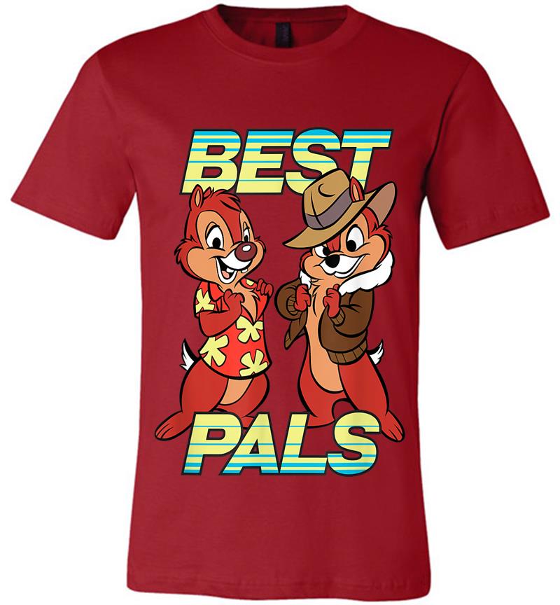 Inktee Store - Disney Chip 'N Dale Best Pals Premium T-Shirt Image